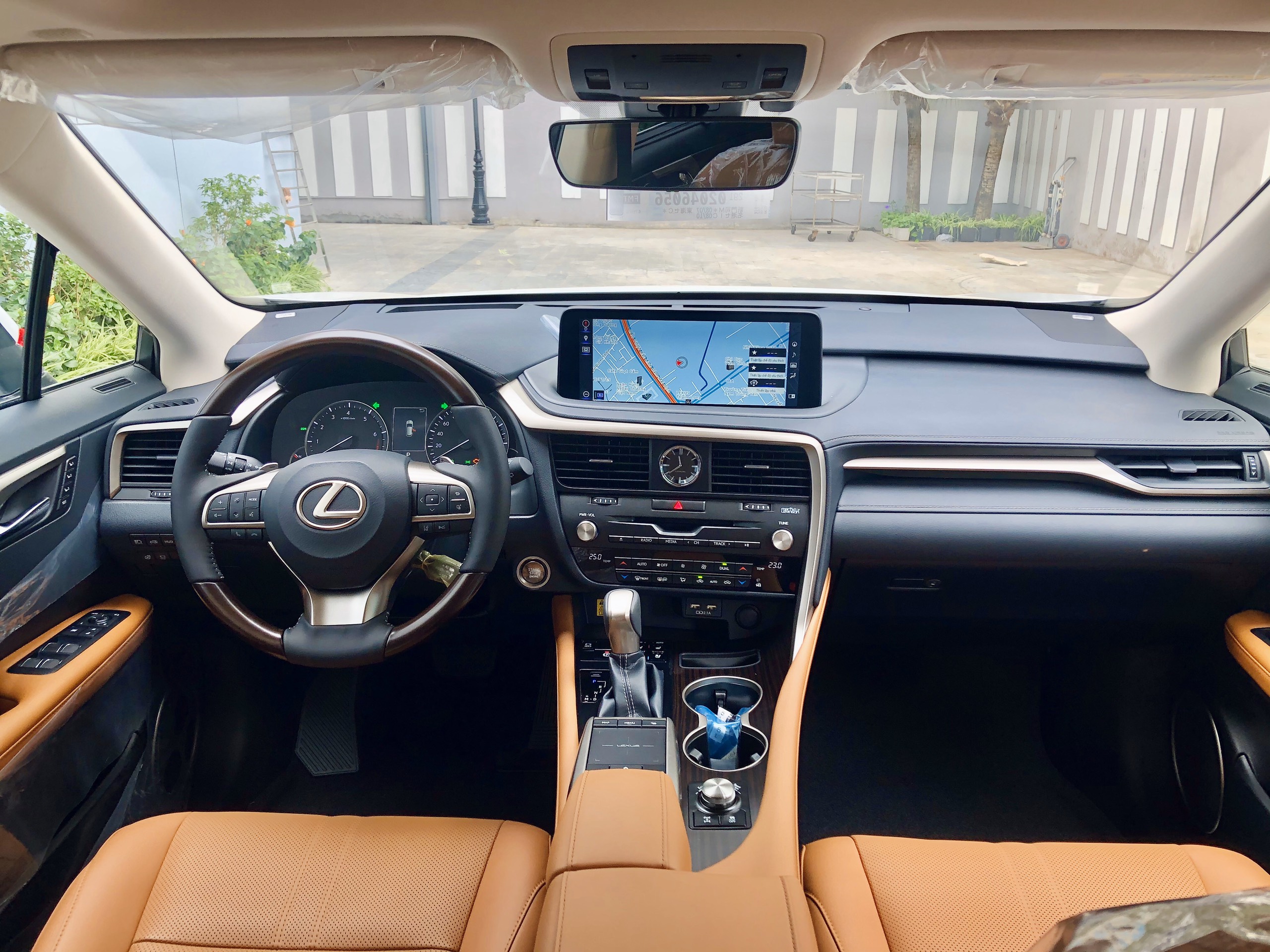 Xe Lexus RX300 2020